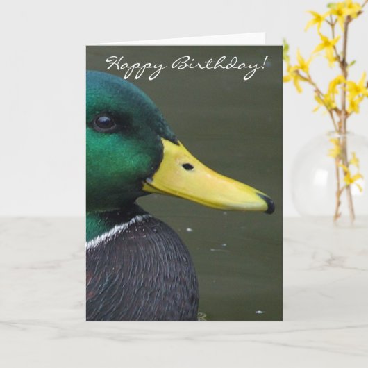 Gelukkige verjaardag Mallard Duck Kaart (Gele Bloem)