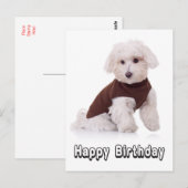 Gelukkige Verjaardag Maltese Puppy Dog Post Kaart (Voorkant / Achterkant)