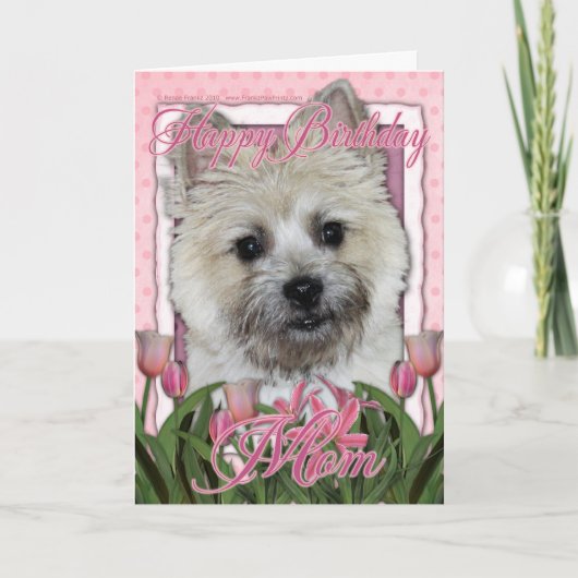 Gelukkige Verjaardag Mam - Cairn Terrier - Teddy B Kaart (Voorkant)