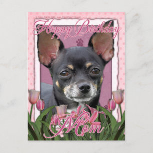 Gelukkige Verjaardag Mam - Chihuahua - Isabella Briefkaart