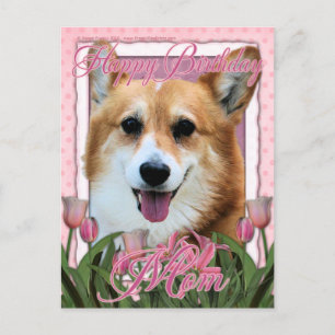 Gelukkige Verjaardag Mam - Corgi - Owen Briefkaart