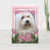 Gelukkige Verjaardag Mam - Coton de Tulear Kaart (Voorkant)