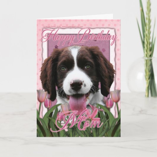 Gelukkige Verjaardag Mam - Engels Springer Spaniel Kaart (Voorkant)