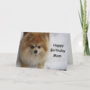 GELUKKIGE VERJAARDAG ***MAM** KAART