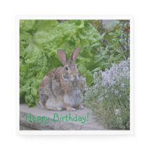 Gelukkige Verjaardag Mama Bunny