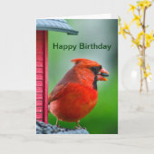 Gelukkige Verjaardag - mannelijke kardinaal Kaart (Gele Bloem)