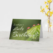 Gelukkige verjaardag met een klein lieveheersbeest kaart (Gele Bloem)