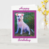 Gelukkige Verjaardag met Leuk Puppy Kaart (Gele Bloem)