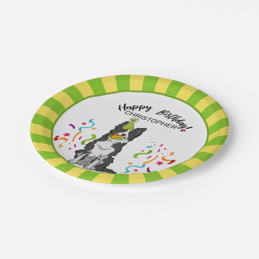 Gelukkige verjaardag met uw grenskolonie Dog Party Papieren Bordje (Gekanteld)