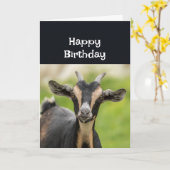 Gelukkige Verjaardag Mijn FAVORIETE OUDE GEIT PLEZ Kaart (Gele Bloem)