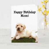 Gelukkige Verjaardag moeder Labrador puppy wenskaa Kaart (Gele Bloem)