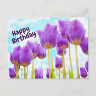 Gelukkige Verjaardag Mooie Paarse Tulpen Briefkaart