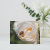 Gelukkige verjaardag. Mooie witte rozenbloem Briefkaart (Staand voorkant)