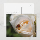 Gelukkige verjaardag. Mooie witte rozenbloem Briefkaart (Voorkant / Achterkant)