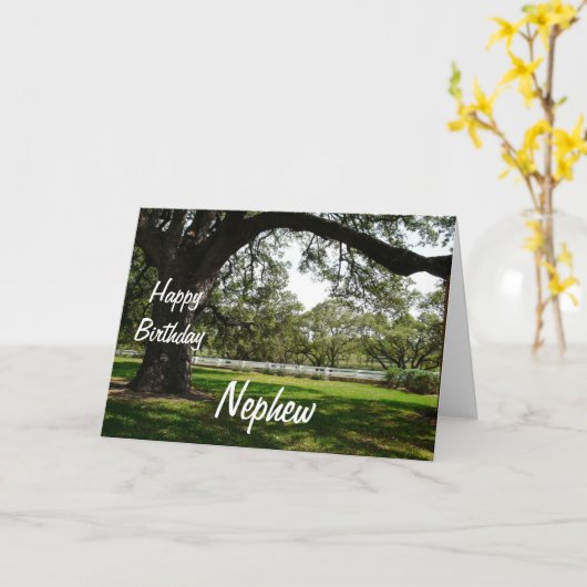 Gelukkige Verjaardag Nephew-oude boom in de tuin Kaart (Gele Bloem)