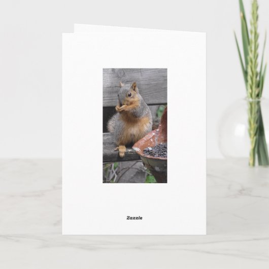 Gelukkige Verjaardag Nutty Friend Funny Squirrel Kaart (Achterkant)