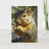 Gelukkige Verjaardag Nutty Friend Funny Squirrel Kaart (Voorkant)