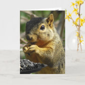 Gelukkige Verjaardag Nutty Friend Funny Squirrel Kaart (Gele Bloem)