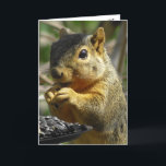 Gelukkige Verjaardag Nutty Friend Funny Squirrel Kaart<br><div class="desc">Gelukkige verjaardag,  vriendschap,  humoristische eekhoorn eten verjaardagskaart.De tekst binnen kan worden bewerkt om te zeggen wat je wilt. Dit is een geweldige kaart voor iemand die van eekhoorns houdt!</div>