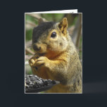 Gelukkige Verjaardag Nutty Friend Funny Squirrel Kaart<br><div class="desc">Gelukkige verjaardag,  vriendschap,  humoristische eekhoorn eten verjaardagskaart.De tekst binnen kan worden bewerkt om te zeggen wat je wilt. Dit is een geweldige kaart voor iemand die van eekhoorns houdt!</div>