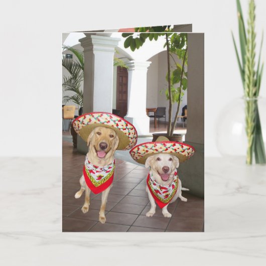 Gelukkige Verjaardag! of cumpleaños ¡ Feliz! Kaart (Voorkant)