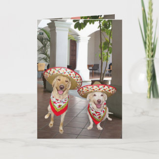 Gelukkige Verjaardag! of cumpleaños ¡ Feliz! Kaart