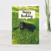 GELUKKIGE VERJAARDAG OMDAT JE FAV-MEDEWERKER "TELT KAART (Voorkant)