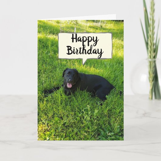 GELUKKIGE VERJAARDAG OMDAT JE FAV-MEDEWERKER "TELT KAART (Voorkant)