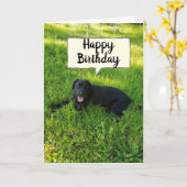 GELUKKIGE VERJAARDAG OMDAT JE FAV-MEDEWERKER "TELT KAART (Gele Bloem)