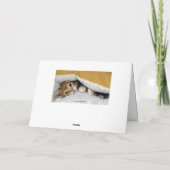 Gelukkige verjaardag, Oranje Tabby Kitten in bed Kaart (Achterkant)