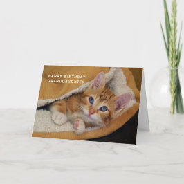 Gelukkige verjaardag, Oranje Tabby Kitten in bed Kaart