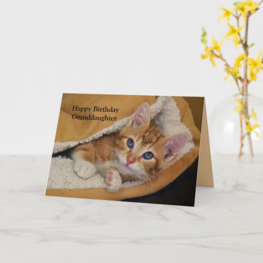 Gelukkige verjaardag, Oranje Tabby Kitten in bed Kaart (Gele Bloem)