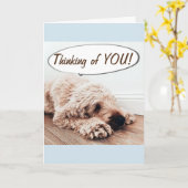 ** GELUKKIGE VERJAARDAG ** OVER DE MIJLEN KAART (Gele Bloem)