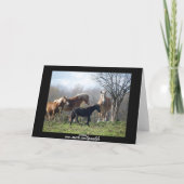 Gelukkige Verjaardag Paarden Kaart (Achterkant)