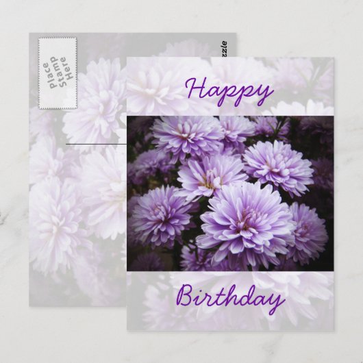 Gelukkige Verjaardag - Paarse Haze Chrysanten Briefkaart (Voorkant / Achterkant)