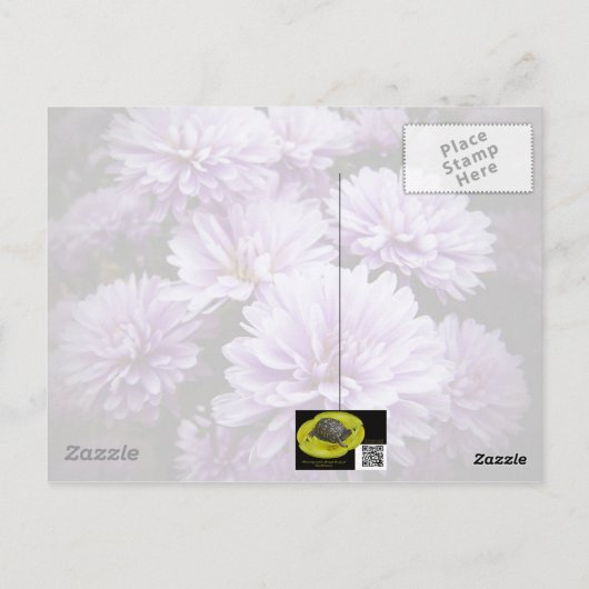 Gelukkige Verjaardag - Paarse Haze Chrysanten Briefkaart (Achterkant)