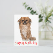 Gelukkige Verjaardag Pekinees Puppy Hond Briefkaart (Staand voorkant)