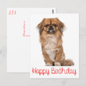 Gelukkige Verjaardag Pekinees Puppy Hond Briefkaart (Voorkant / Achterkant)