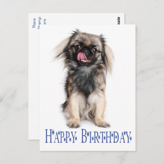 Gelukkige Verjaardag Pekinees Puppy Hondenblauw Briefkaart (Voorkant / Achterkant)