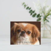 Gelukkige Verjaardag Pekinees Rood Bruin Puppy Hon Briefkaart (Staand voorkant)