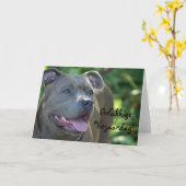 Gelukkige Verjaardag Pitbull dog greeting card Kaart (Gele Bloem)