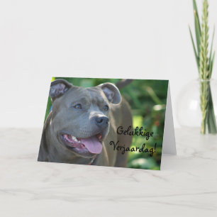 Gelukkige Verjaardag Pitbull dog greeting card Kaart