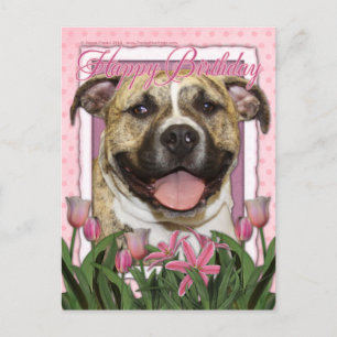 Gelukkige Verjaardag - Pitbull - Tigger Briefkaart