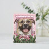 Gelukkige Verjaardag - Pitbull - Tigger Briefkaart (Staand voorkant)