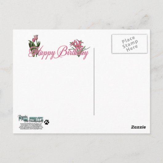 Gelukkige Verjaardag - Pitbull - Tigger Briefkaart (Achterkant)