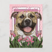 Gelukkige Verjaardag - Pitbull - Tigger Briefkaart (Voorkant)
