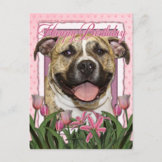 Gelukkige Verjaardag - Pitbull - Tigger Briefkaart (Voorkant)