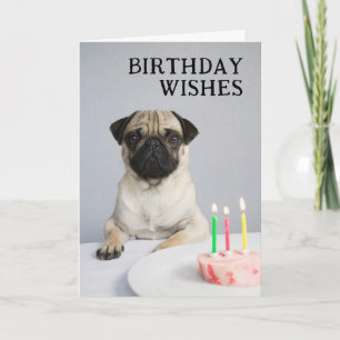 Gelukkige verjaardag Pug Kaart