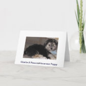 Gelukkige Verjaardag Puppy Havanese Redding Kaart (Achterkant)