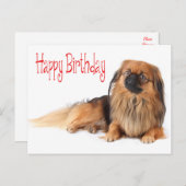 Gelukkige Verjaardag Puppy Rood Hond Briefkaart (Voorkant / Achterkant)